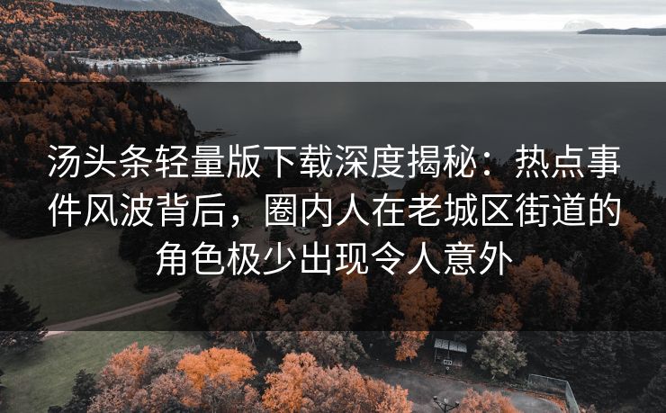 汤头条轻量版下载深度揭秘：热点事件风波背后，圈内人在老城区街道的角色极少出现令人意外